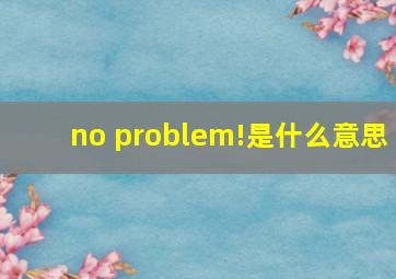 no problem!是什么意思